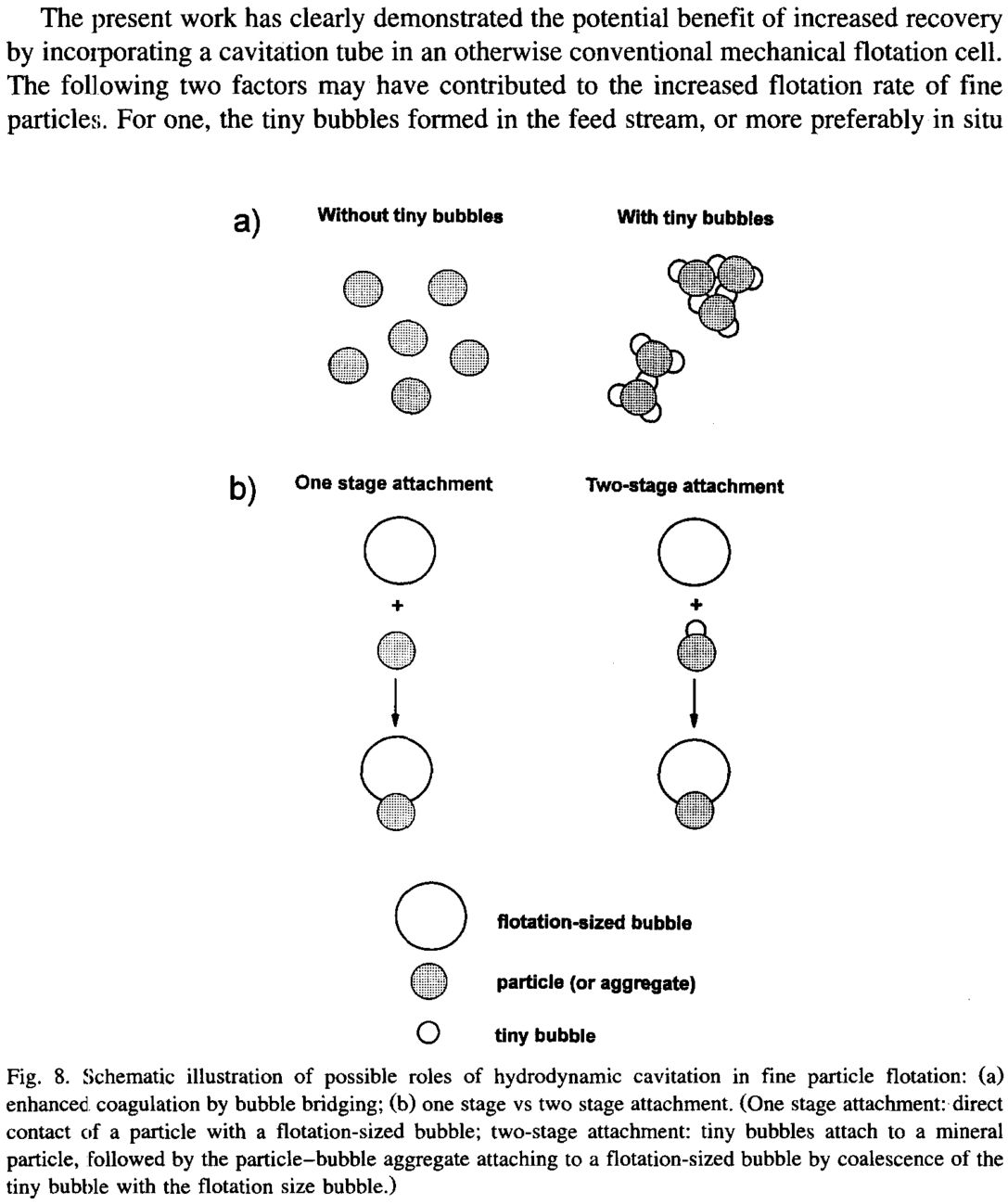 Schematic illustration of possible roles of hydrodynamic cavitation in fine particle flotation